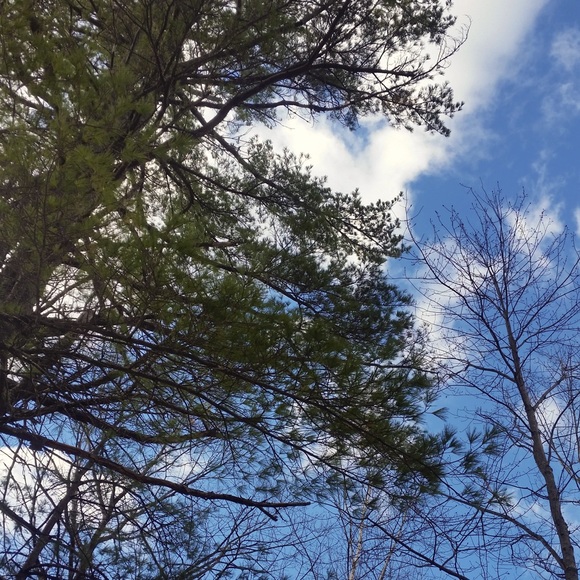 Meet your Posher, Jocelyn - Picture 1 of 1